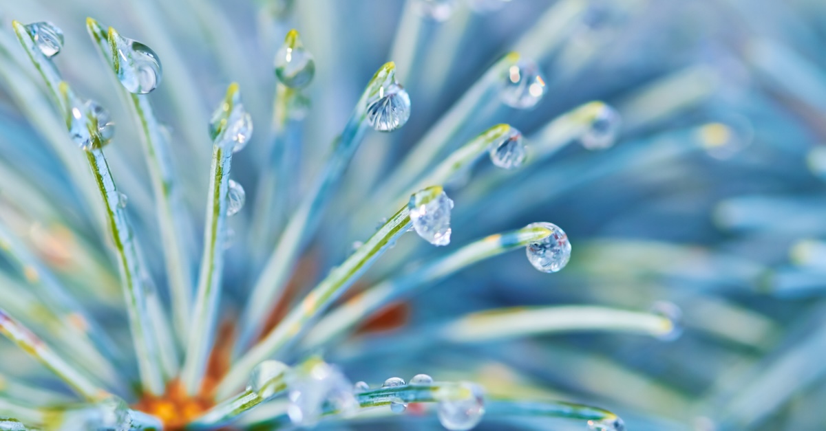 Sparking digital transformation with the Bernstein Methodology