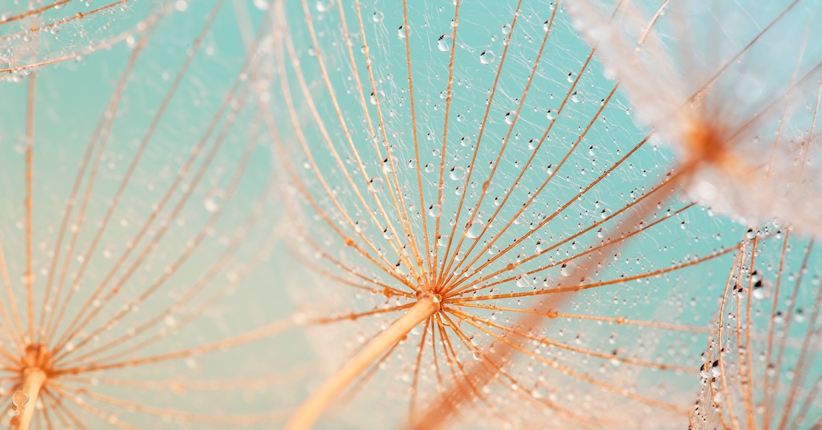 Digital accessibility is no longer optional. Is your business ready?
